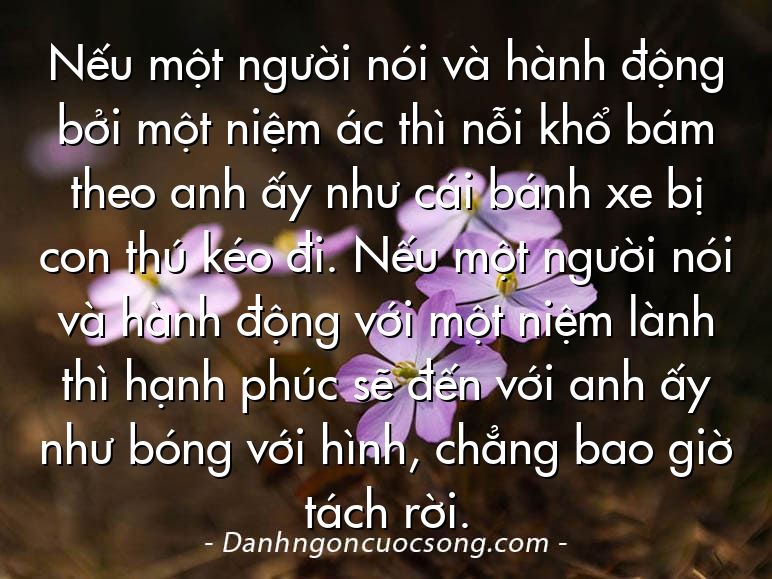 Nếu một người nói và hành động bởi một niệm ác thì nỗi khổ bám theo anh ấy như cái bánh xe bị con thú kéo đi. Nếu một người nói và hành động với một niệm lành thì hạnh phúc sẽ đến với anh ấy như bóng với hình, chẳng bao giờ tách rời.