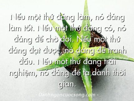 Nếu một thứ đáng làm, nó đáng làm tốt. Nếu một thứ đáng có, nó đáng để chờ đợi. Nếu một thứ đáng đạt được, nó đáng để tranh đấu. Nếu một thứ đáng trải nghiệm, nó đáng để ta dành thời gian.