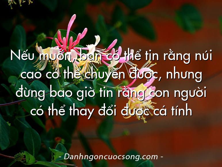 Nếu muốn, bạn có thể tin rằng núi cao có thể chuyển được, nhưng đừng bao giờ tin rằng con người có thể thay đổi được cá tính