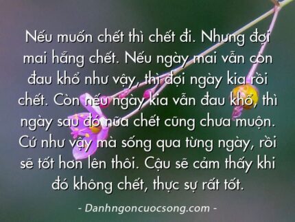 Nếu muốn chết thì chết đi. Nhưng đợi mai hẵng chết. Nếu ngày mai vẫn còn đau khổ như vậy, thì đợi ngày kia rồi chết. Còn nếu ngày kia vẫn đau khổ, thì ngày sau đó nữa chết cũng chưa muộn. Cứ như vậy mà sống qua từng ngày, rồi sẽ tốt hơn lên thôi. Cậu sẽ cảm thấy khi đó không chết, thực sự rất tốt.