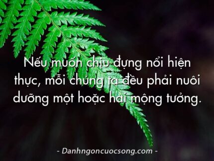 Nếu muốn chịu đựng nổi hiện thực, mỗi chúng ta đều phải nuôi dưỡng một hoặc hai mộng tưởng.