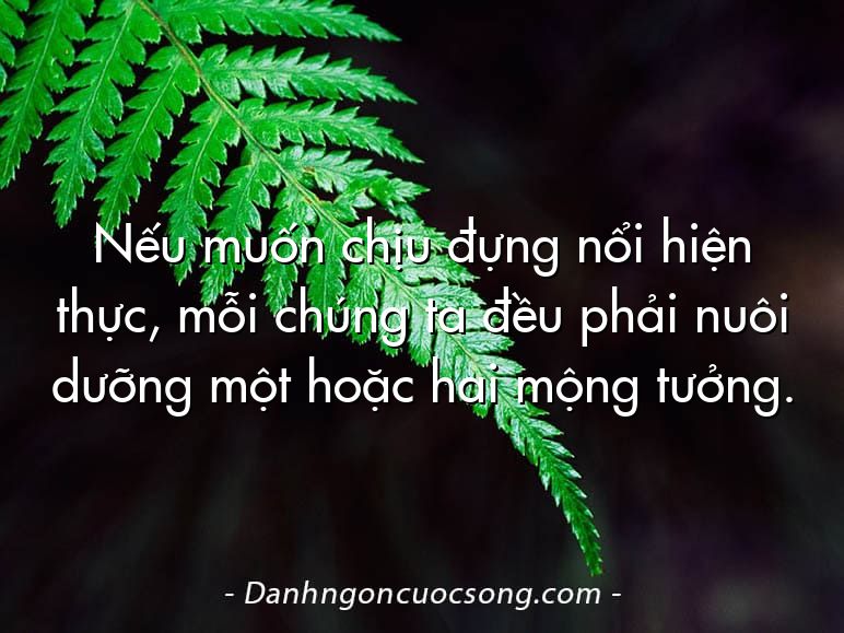 Nếu muốn chịu đựng nổi hiện thực, mỗi chúng ta đều phải nuôi dưỡng một hoặc hai mộng tưởng.