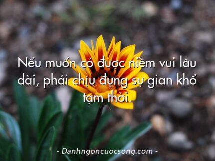 Nếu muốn có được niềm vui lâu dài, phải chịu đựng sự gian khổ tạm thời.