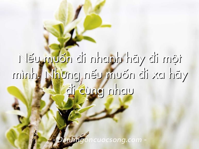 Nếu muốn đi nhanh hãy đi một mình. Nhưng nếu muốn đi xa hãy đi cùng nhau