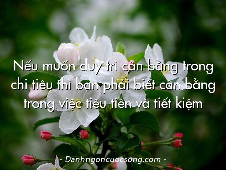 Nếu muốn duy trì cân bằng trong chi tiêu thì bạn phải biết cân bằng trong việc tiêu tiền và tiết kiệm