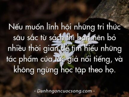 Nếu muốn lĩnh hội những tri thức sâu sắc từ sách thì bạn nên bỏ nhiều thời gian để tìm hiểu những tác phẩm của tác giả nổi tiếng, và không ngừng học tập theo họ.