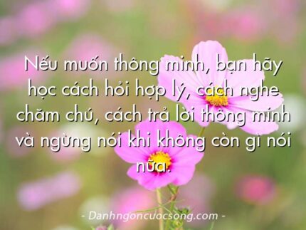 Nếu muốn thông minh, bạn hãy học cách hỏi hợp lý, cách nghe chăm chú, cách trả lời thông minh và ngừng nói khi không còn gì nói nữa.