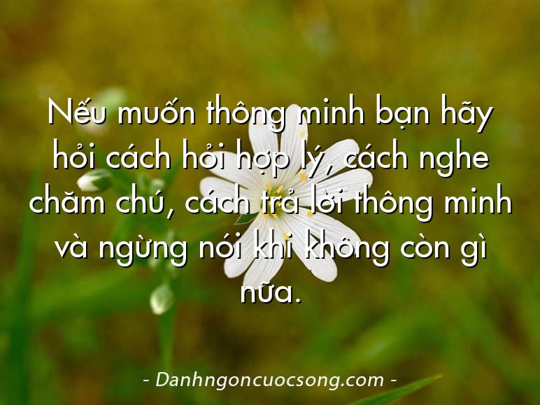 Nếu muốn thông minh bạn hãy hỏi cách hỏi hợp lý, cách nghe chăm chú, cách trả lời thông minh và ngừng nói khi không còn gì nữa.