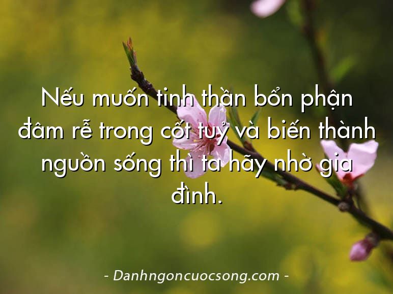 Nếu muốn tinh thần bổn phận đâm rễ trong cốt tuỷ và biến thành nguồn sống thì ta hãy nhờ gia đình.