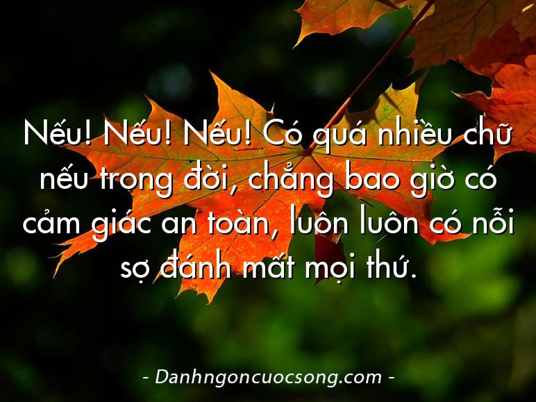 Nếu! Nếu! Nếu! Có quá nhiều chữ nếu trong đời, chẳng bao giờ có cảm giác an toàn, luôn luôn có nỗi sợ đánh mất mọi thứ.