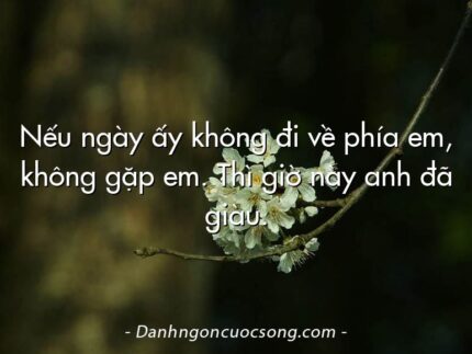 Nếu ngày ấy không đi về phía em, không gặp em. Thì giờ này anh đã giàu.