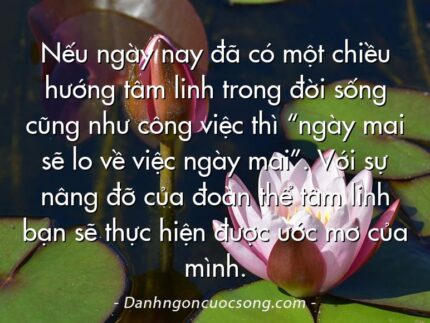 Nếu ngày nay đã có một chiều hướng tâm linh trong đời sống cũng như công việc thì “ngày mai sẽ lo về việc ngày mai”. Với sự nâng đỡ của đoàn thể tâm linh bạn sẽ thực hiện được ước mơ của mình.