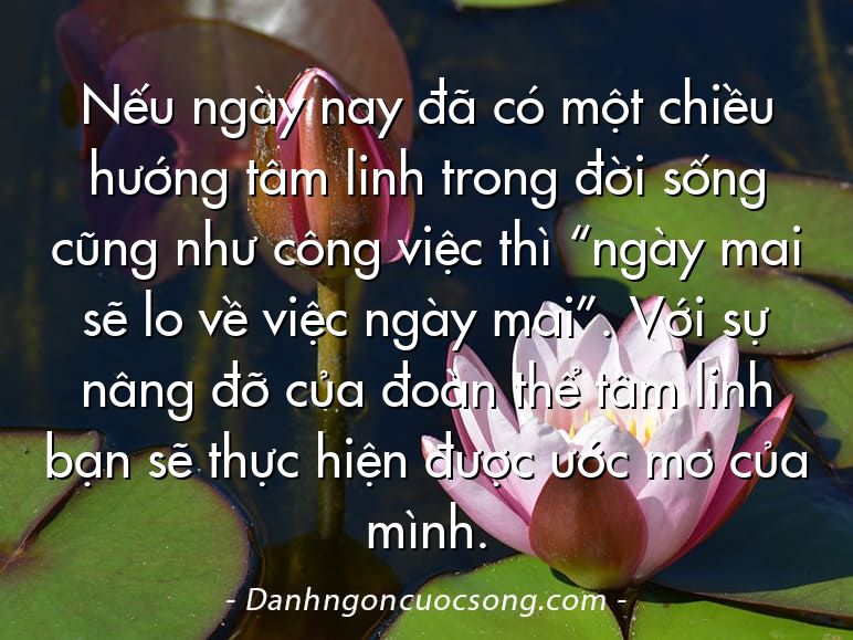 Nếu ngày nay đã có một chiều hướng tâm linh trong đời sống cũng như công việc thì “ngày mai sẽ lo về việc ngày mai”. Với sự nâng đỡ của đoàn thể tâm linh bạn sẽ thực hiện được ước mơ của mình.