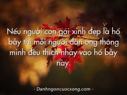 Nếu người con gái xinh đẹp là hố bẫy thì mỗi người đàn ông thông minh đều thích nhảy vào hố bẫy này.
