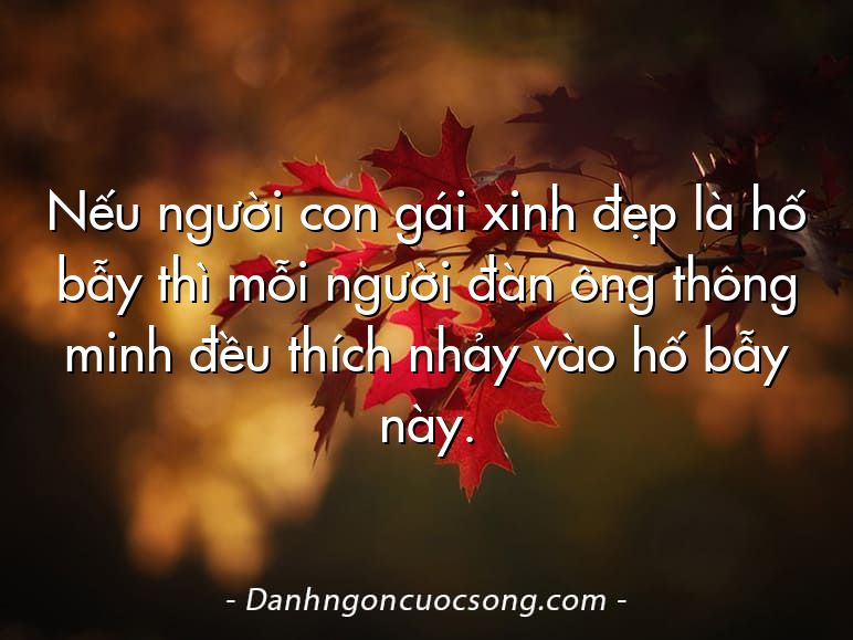 Nếu người con gái xinh đẹp là hố bẫy thì mỗi người đàn ông thông minh đều thích nhảy vào hố bẫy này.