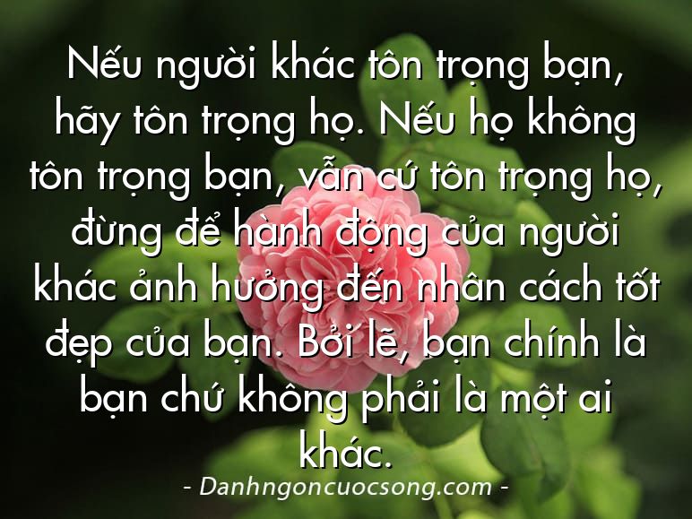 Nếu người khác tôn trọng bạn, hãy tôn trọng họ. Nếu họ không tôn trọng bạn, vẫn cứ tôn trọng họ, đừng để hành động của người khác ảnh hưởng đến nhân cách tốt đẹp của bạn. Bởi lẽ, bạn chính là bạn chứ không phải là một ai khác.