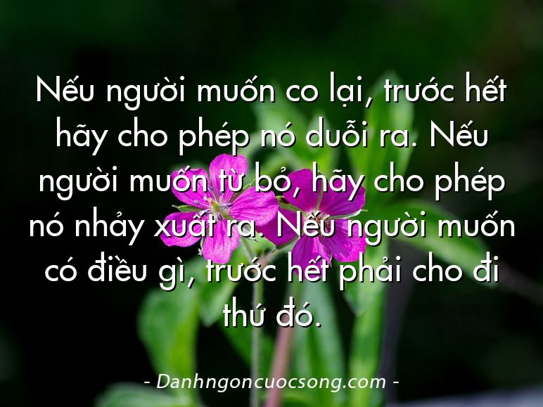 Nếu người muốn co lại, trước hết hãy cho phép nó duỗi ra. Nếu người muốn từ bỏ, hãy cho phép nó nhảy xuất ra. Nếu người muốn có điều gì, trước hết phải cho đi thứ đó.