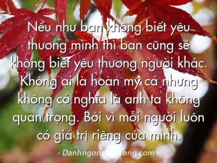 Nếu như bạn không biết yêu thương mình thì bạn cũng sẽ không biết yêu thương người khác. Không ai là hoàn mỹ cả nhưng không có nghĩa là anh ta không quan trọng. Bởi vì mỗi người luôn có giá trị riêng của mình.