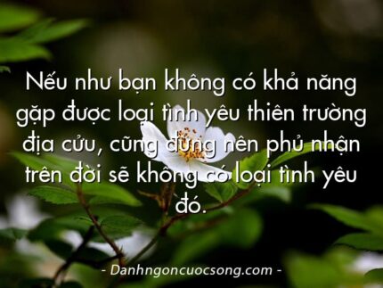 Nếu như bạn không có khả năng gặp được loại tình yêu thiên trường địa cửu, cũng đừng nên phủ nhận trên đời sẽ không có loại tình yêu đó.