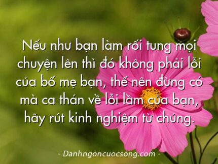 Nếu như bạn làm rối tung mọi chuyện lên thì đó không phải lỗi của bố mẹ bạn, thế nên đừng có mà ca thán về lỗi lầm của bạn, hãy rút kinh nghiệm từ chúng.