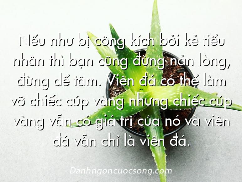 Nếu như bị công kích bởi kẻ tiểu nhân thì bạn cũng đừng nản lòng, đừng dể tâm. Viên đá có thể làm vỡ chiếc cúp vàng nhưng chiếc cúp vàng vẫn có giá trị của nó và viên đá vẫn chỉ là viên đá.
