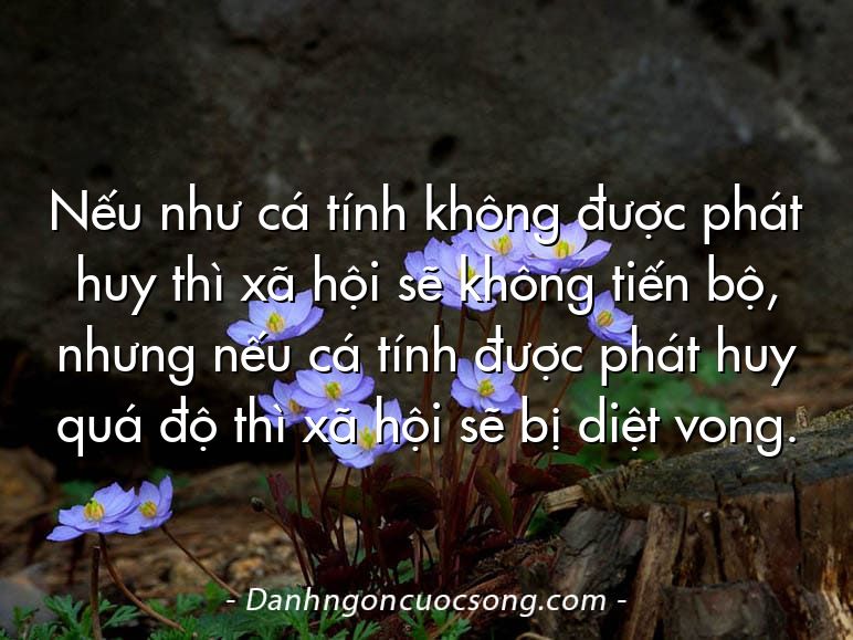 Nếu như cá tính không được phát huy thì xã hội sẽ không tiến bộ, nhưng nếu cá tính được phát huy quá độ thì xã hội sẽ bị diệt vong.