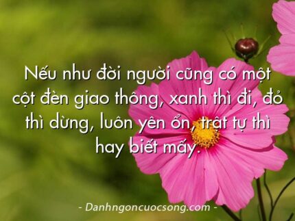 Nếu như đời người cũng có một cột đèn giao thông, xanh thì đi, đỏ thì dừng, luôn yên ổn, trật tự thì hay biết mấy.