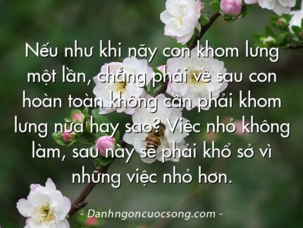 Nếu như khi nãy con khom lưng một lần, chẳng phải về sau con hoàn toàn không cần phải khom lưng nữa hay sao? Việc nhỏ không làm, sau này sẽ phải khổ sở vì những việc nhỏ hơn.