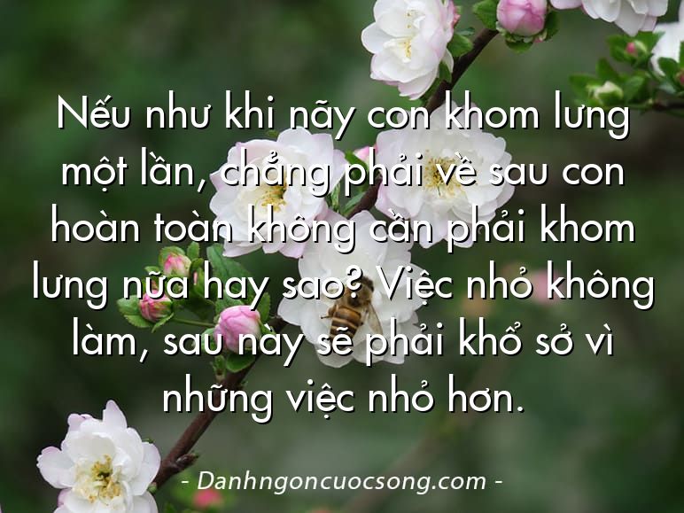 Nếu như khi nãy con khom lưng một lần, chẳng phải về sau con hoàn toàn không cần phải khom lưng nữa hay sao? Việc nhỏ không làm, sau này sẽ phải khổ sở vì những việc nhỏ hơn.