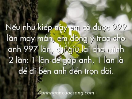 Nếu như kiếp này em có được 999 lần may mắn, em đồng ý trao cho anh 997 lần, chỉ giữ lại cho mình 2 lần: 1 lần để gặp anh, 1 lần là để đi bên anh đến trọn đời.