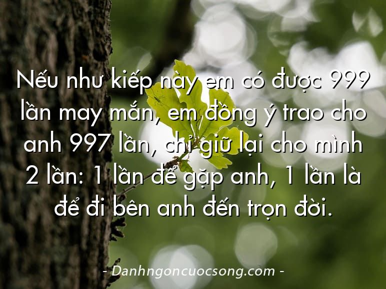 Nếu như kiếp này em có được 999 lần may mắn, em đồng ý trao cho anh 997 lần, chỉ giữ lại cho mình 2 lần: 1 lần để gặp anh, 1 lần là để đi bên anh đến trọn đời.
