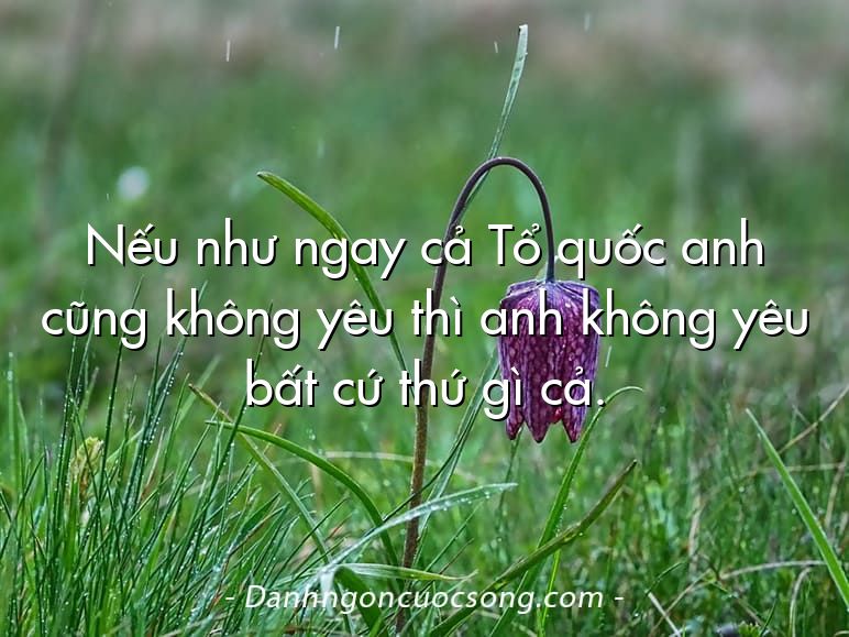Nếu như ngay cả Tổ quốc anh cũng không yêu thì anh không yêu bất cứ thứ gì cả.