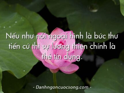 Nếu như nói ngoại hình là bức thư tiến cử thì sự lương thiện chính là thẻ tín dụng.