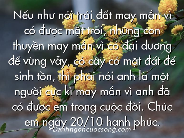 Nếu như nói trái đất may mắn vì có được mặt trời, những con thuyền may mắn vì có đại dương để vùng vẫy, cỏ cây có mặt đất để sinh tồn, thì phải nói anh là một người cực kì may mắn vì anh đã có được em trong cuộc đời. Chúc em ngày 20/10 hạnh phúc.