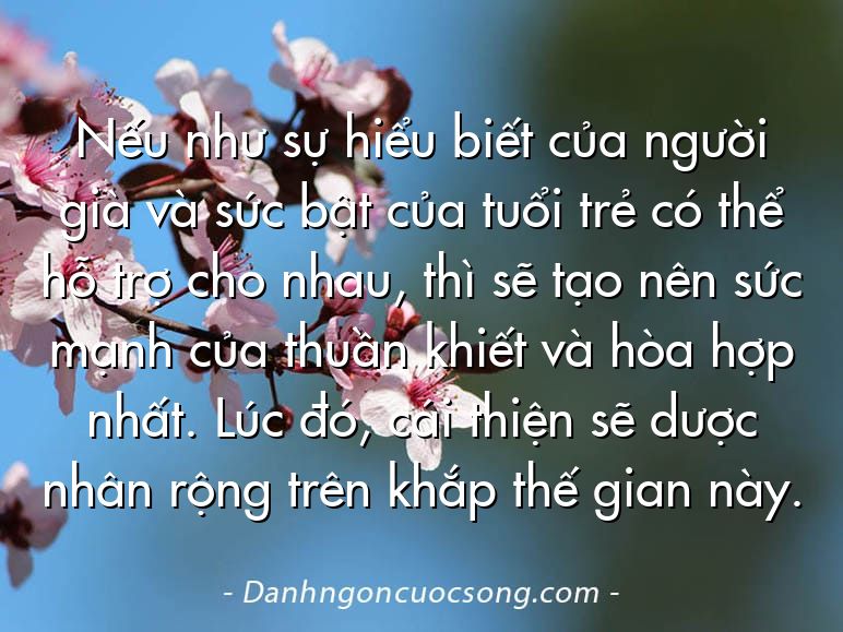 Nếu như sự hiểu biết của người già và sức bật của tuổi trẻ có thể hỗ trợ cho nhau, thì sẽ tạo nên sức mạnh của thuần khiết và hòa hợp nhất. Lúc đó, cái thiện sẽ dược nhân rộng trên khắp thế gian này.