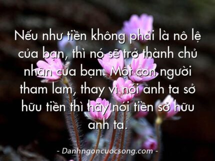 Nếu như tiền không phải là nô lệ của bạn, thì nó sẽ trở thành chủ nhân của bạn. Một con người tham lam, thay vì nói anh ta sở hữu tiền thì hãy nói tiền sở hữu anh ta.