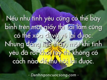 Nếu như tình yêu cũng có thể bày binh trên mặt giấy thì sai lầm cũng có thể xóa đi và vẽ lại được. Nhưng đáng tiếc thay, một khi tình yêu đã rời khỏi tay thì không có cách nào để thu hồi lại được.