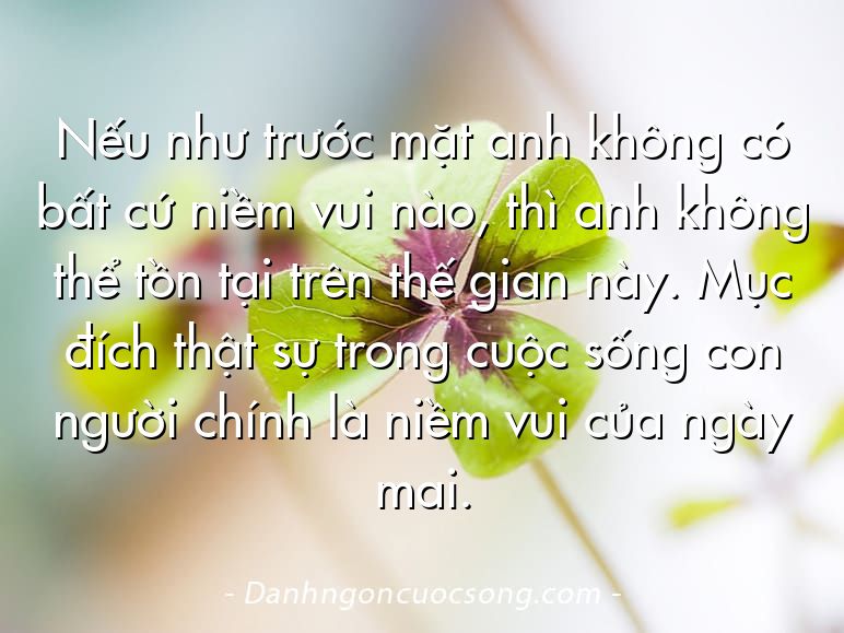 Nếu như trước mặt anh không có bất cứ niềm vui nào, thì anh không thể tồn tại trên thế gian này. Mục đích thật sự trong cuộc sống con người chính là niềm vui của ngày mai.