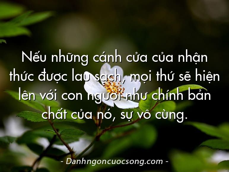 Nếu những cánh cửa của nhận thức được lau sạch, mọi thứ sẽ hiện lên với con người như chính bản chất của nó, sự vô cùng.