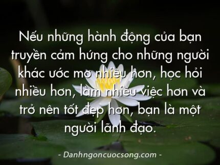 Nếu những hành động của bạn truyền cảm hứng cho những người khác ước mơ nhiều hơn, học hỏi nhiều hơn, làm nhiều việc hơn và trở nên tốt đẹp hơn, bạn là một người lãnh đạo.