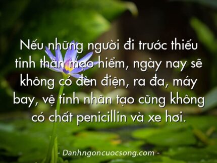 Nếu những người đi trước thiếu tinh thần mạo hiểm, ngày nay sẽ không có đèn điện, ra đa, máy bay, vệ tinh nhân tạo cũng không có chất penicillin và xe hơi.