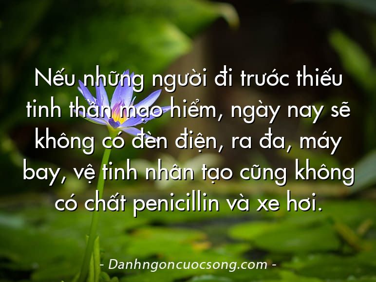 Nếu những người đi trước thiếu tinh thần mạo hiểm, ngày nay sẽ không có đèn điện, ra đa, máy bay, vệ tinh nhân tạo cũng không có chất penicillin và xe hơi.