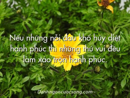 Nếu những nỗi đau khổ hủy diệt hạnh phúc thì những thú vui đều làm xáo trộn hạnh phúc.
