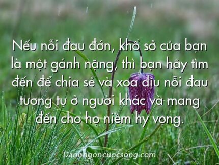 Nếu nỗi đau đớn, khổ sở của bạn là một gánh nặng, thì bạn hãy tìm đến để chia sẻ và xoa dịu nỗi đau tương tự ở người khác và mang đến cho họ niềm hy vọng.