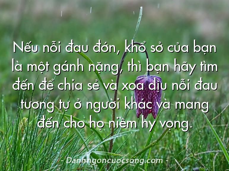 Nếu nỗi đau đớn, khổ sở của bạn là một gánh nặng, thì bạn hãy tìm đến để chia sẻ và xoa dịu nỗi đau tương tự ở người khác và mang đến cho họ niềm hy vọng.