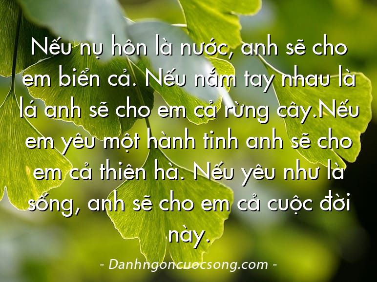 Nếu nụ hôn là nước, anh sẽ cho em biển cả. Nếu nắm tay nhau là lá anh sẽ cho em cả rừng cây.Nếu em yêu một hành tinh anh sẽ cho em cả thiên hà. Nếu yêu như là sống, anh sẽ cho em cả cuộc đời này.