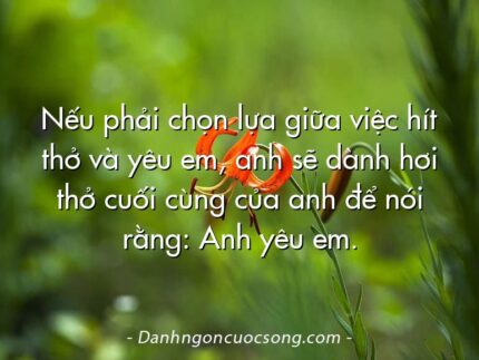 Nếu phải chọn lựa giữa việc hít thở và yêu em, anh sẽ dành hơi thở cuối cùng của anh để nói rằng: Anh yêu em.