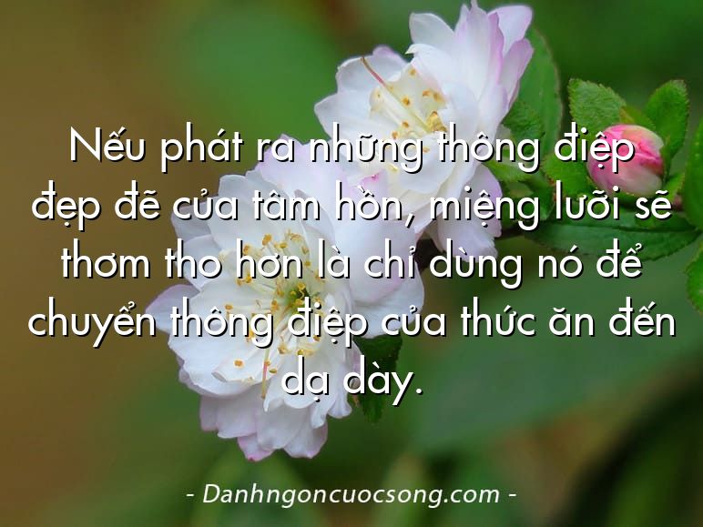 Nếu phát ra những thông điệp đẹp đẽ của tâm hồn, miệng lưỡi sẽ thơm tho hơn là chỉ dùng nó để chuyển thông điệp của thức ăn đến dạ dày.