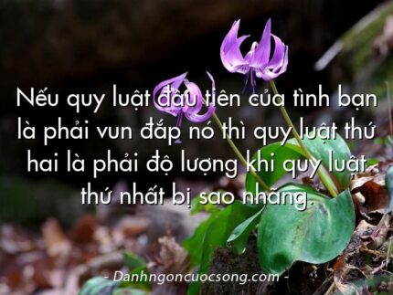 Nếu quy luật đầu tiên của tình bạn là phải vun đắp nó thì quy luật thứ hai là phải độ lượng khi quy luật thứ nhất bị sao nhãng.