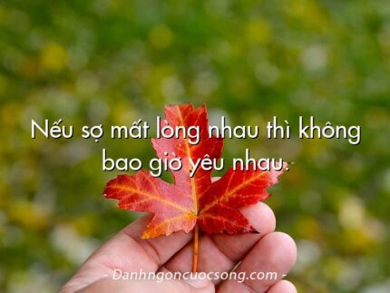 Nếu sợ mất lòng nhau thì không bao giờ yêu nhau.